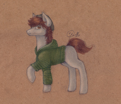 Size: 2218x1908 | Tagged: safe, artist:kimsteinandother, oc, oc only, oc:zezar, earth pony, pony, clothes, male, solo, stallion, traditional art