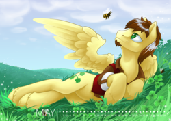Size: 1200x848 | Tagged: safe, artist:arctic-fox, oc, oc only, bee, bumblebee, insect, pegasus, pony, calendar, clothes, cloud, clover, four leaf clover, grass field, jacket, looking up, male, may, smiling, solo, stallion, unshorn fetlocks