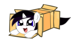 Size: 5580x3050 | Tagged: safe, artist:barrfind, oc, oc only, oc:barrfind, pony, absurd resolution, baby, baby pony, box, cute, happy, simple background, solo, transparent background, vector