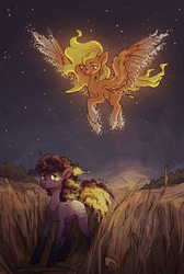 Size: 1058x1577 | Tagged: safe, artist:koviry, oc, oc only, oc:ashfire, oc:comet, elemental pony, pegasus, pony, unicorn, commission, duo, female, flying, looking down, male, mare, night, smiling, spread wings, stallion, tall grass, wings