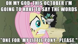 Size: 610x343 | Tagged: safe, edit, edited screencap, screencap, fluttershy, g4, my little pony: the movie, the return of harmony, faic, female, image macro, meme, nervous, scared, solo