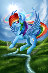 Size: 2000x3000 | Tagged: safe, artist:bizonekx33, rainbow dash, pegasus, pony, g4, backwards cutie mark, female, high res, mare, open mouth, scenery, signature, solo