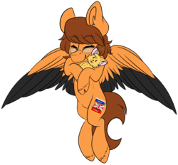 Size: 3976x3692 | Tagged: safe, artist:maximkoshe4ka, oc, oc only, oc:vilen white, cat, pegasus, pony, colored wings, eyes closed, female, glasses, high res, mare, multicolored wings, plushie, simple background, solo, transparent background