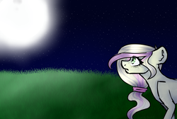 Size: 4729x3176 | Tagged: safe, artist:pinkcloudhugger, oc, oc only, oc:lipon, pony, high res, moon, solo