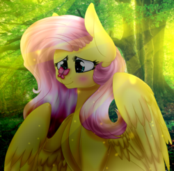 Size: 926x913 | Tagged: safe, artist:angellightyt, artist:namichee, fluttershy, butterfly, pegasus, pony, g4, blushing, bust, collaboration, crepuscular rays, cross-eyed, cute, female, forest, insect on nose, looking at something, mare, nature, outdoors, shyabetes, solo, spread wings, sunlight, wings