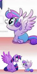 Size: 1494x2938 | Tagged: source needed, safe, princess flurry heart, twilight sparkle, alicorn, pony, g4, context is for the weak, exploitable meme, meme, needs more jpeg, sitting, spread wings, twilight sparkle (alicorn), watermark, wings