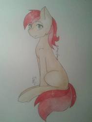 Size: 480x640 | Tagged: safe, artist:pinkcloudhugger, roseluck, earth pony, pony, g4, female, solo, traditional art