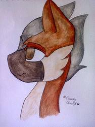 Size: 480x640 | Tagged: safe, artist:pinkcloudhugger, oc, oc only, oc:passer, pony, traditional art