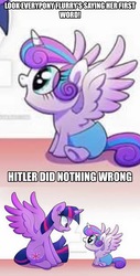 Size: 1494x2938 | Tagged: safe, princess flurry heart, twilight sparkle, alicorn, pony, g4, exploitable meme, first words, flurry heart ruins everything, hitler did nothing wrong, meme, twilight sparkle (alicorn)