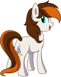Size: 1121x1425 | Tagged: safe, artist:thebowtieone, oc, oc only, earth pony, pony, looking back, male, simple background, solo, stallion, transparent background