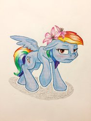 Size: 1024x1365 | Tagged: safe, artist:grokostimpy, rainbow dash, pegasus, pony, g4, blushing, cute, dashabetes, female, flower, flower in hair, looking at you, mare, simple background, solo, traditional art, unamused