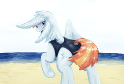 Size: 1019x693 | Tagged: safe, artist:testostepone, windy whistles, pony, g4, beach, clothes, painting, swimsuit