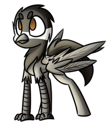Size: 904x1040 | Tagged: safe, artist:nekro-led, oc, oc only, oc:burd, classical hippogriff, hippogriff, simple background, solo, white background