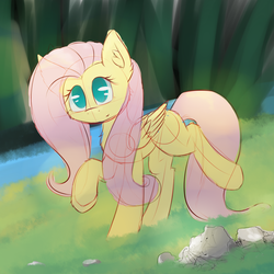 Size: 1100x1100 | Tagged: safe, artist:morningbullet, fluttershy, pegasus, pony, g4, chest fluff, colored sketch, ear fluff, female, folded wings, forest, grass, mare, missing cutie mark, no pupils, outdoors, raised hoof, raised leg, river, rock, sketch, smiling, solo