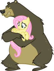 Size: 2228x2933 | Tagged: safe, artist:davidsfire, fluttershy, harry, bear, pegasus, pony, g4, animal, carrying, duo, fat, female, high res, holding a pony, larger male, mare, obese, physique difference, protecting, simple background, size difference, skinny, smaller female, strong fat, thin, transparent background, vector