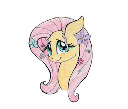 Size: 1519x1288 | Tagged: safe, artist:sonic-spatula, fluttershy, pony, g4, bust, cute, female, flower, flower in hair, looking at you, looking sideways, portrait, shyabetes, simple background, smiling, solo, stray strand, traditional art, white background