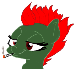 Size: 1613x1483 | Tagged: safe, derpibooru exclusive, oc, oc only, oc:drunky junky, pony, bust, cigarette, digital art, mohawk, punk, simple background, smoking, solo, transparent background