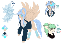Size: 4360x3080 | Tagged: safe, artist:minelvi, oc, oc only, oc:v, oc:yoonji, pegasus, pony, bust, clothes, eyelashes, female, flower, high res, jacket, mare, one eye closed, pegasus oc, reference sheet, shirt, sombra eyes, spread wings, wings, wink