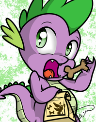 Size: 1024x1295 | Tagged: safe, artist:alligatorgummy, spike, dragon, equestria girls, g4, my little pony equestria girls: rainbow rocks, bag, credits, dog biscuit, dog food, end credits, male, open mouth, shine like rainbows, signature, solo