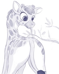 Size: 669x836 | Tagged: safe, artist:grissaecrim, clementine, giraffe, fluttershy leans in, g4, butt, eating, female, long tongue, plot, simple background, sketch, solo, strategically covered, tail censor, tongue out, white background
