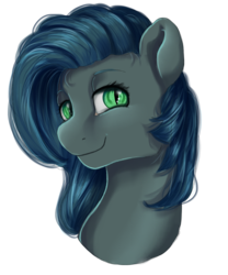 Size: 1000x1200 | Tagged: safe, artist:aelwyng, oc, oc only, oc:dusky mist, pony, solo