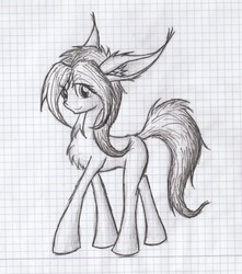 Size: 1926x2176 | Tagged: safe, artist:ap0st0l, earth pony, pony, cute, female, graph paper, lined paper, long mane, mare, pencil drawing, solo, traditional art