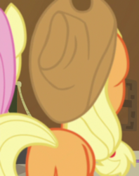 Size: 570x719 | Tagged: safe, screencap, applejack, fluttershy, earth pony, pegasus, pony, all bottled up, g4, butt, cropped, female, mare, plot, solo focus