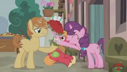 Size: 1920x1080 | Tagged: safe, screencap, big macintosh, feather bangs, sugar belle, earth pony, pony, g4, hard to say anything, male, stallion