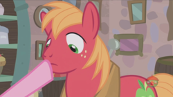 Size: 1236x694 | Tagged: safe, screencap, big macintosh, sugar belle, earth pony, pony, g4, hard to say anything, boop, male, stallion