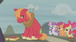 Size: 1920x1080 | Tagged: safe, screencap, apple bloom, big macintosh, scootaloo, sweetie belle, earth pony, pony, g4, hard to say anything, cutie mark crusaders, male, stallion