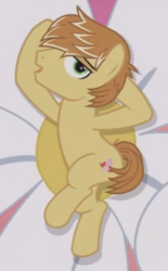 Size: 294x473 | Tagged: safe, screencap, feather bangs, earth pony, pony, g4, hard to say anything, battle for sugar belle, cropped, cutie mark, flower, male, solo, stallion, stupid sexy feather bangs