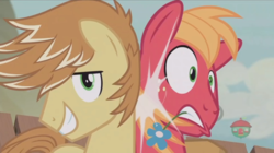 Size: 1236x694 | Tagged: safe, screencap, big macintosh, feather bangs, earth pony, pony, g4, hard to say anything, male, stallion