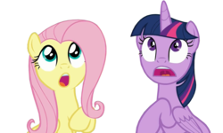 Size: 1920x1152 | Tagged: safe, artist:fskindness, fluttershy, twilight sparkle, alicorn, pony, g4, looking up, open mouth, simple background, transparent background, twilight sparkle (alicorn)