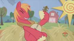 Size: 1236x694 | Tagged: safe, screencap, big macintosh, earth pony, pony, g4, hard to say anything, animation error, banjo, battle for sugar belle, male, missing cutie mark, musical instrument, solo, stallion