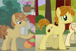 Size: 1028x688 | Tagged: safe, screencap, big macintosh, feather bangs, mandopony, wild fire, earth pony, pony, g4, hard to say anything, comparison, male, offscreen character, stallion