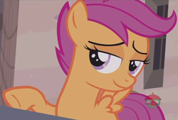 Size: 706x478 | Tagged: safe, edit, edited screencap, screencap, scootaloo, pegasus, pony, g4, hard to say anything, cropped, female, solo, treehouse logo