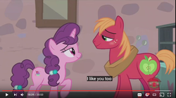 Size: 856x477 | Tagged: safe, screencap, big macintosh, sugar belle, earth pony, pony, g4, hard to say anything, cute, female, male, mare, meme, ship:sugarmac, shipping, stallion, straight, youtube caption