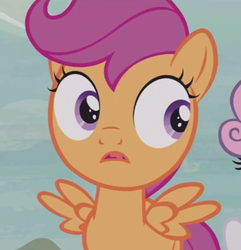 Size: 458x476 | Tagged: safe, screencap, scootaloo, pony, g4, hard to say anything