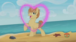 Size: 1366x764 | Tagged: safe, screencap, feather bangs, earth pony, pony, g4, hard to say anything, beach, heart, looking at you, love, male, solo, stallion