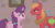 Size: 1366x721 | Tagged: safe, screencap, big macintosh, sugar belle, earth pony, pony, g4, hard to say anything, female, male, mare, ship:sugarmac, shipping, stallion, straight