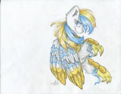 Size: 3960x3060 | Tagged: safe, artist:sarahsketchz, oc, oc only, oc:cirrus sky, hippogriff, armor, high res, ribbon, solo, talons, traditional art