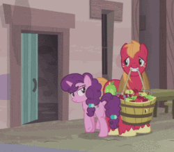 Size: 480x421 | Tagged: safe, artist:steghost, edit, edited screencap, screencap, big macintosh, sugar belle, earth pony, pony, g4, hard to say anything, animated, bedroom eyes, butt, door, female, gif, implied coitus, male, mare, plot, sheldon cooper, ship:sugarmac, shipping, stallion, straight, the big bang theory, you know for kids