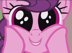 Size: 715x525 | Tagged: safe, screencap, sugar belle, pony, g4, hard to say anything, my little pony: friendship is magic, adorable face, big eyes, cute, female, happy, mare, solo, squishy cheeks, sugarbetes