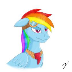 Size: 1200x1200 | Tagged: safe, artist:gammahoof, rainbow dash, pony, fanfic:austraeoh, g4, element of loyalty, fanfic, fanfic art, female, goggles, solo