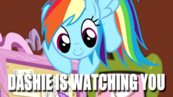 Size: 616x346 | Tagged: safe, edit, edited screencap, screencap, rainbow dash, pony, fluttershy leans in, g4, cute, female, fluttershy's dreamboard, flying, image macro, meme, solo