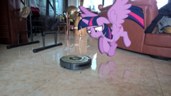 Size: 1920x1080 | Tagged: safe, artist:bokunzhao, artist:decprincess, twilight sparkle, alicorn, pony, g4, female, irl, mare, photo, ponies in real life, roomba, solo, story in the comments, twilight sparkle (alicorn)