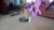 Size: 1920x1080 | Tagged: safe, artist:bokunzhao, artist:decprincess, twilight sparkle, alicorn, pony, g4, female, irl, mare, photo, ponies in real life, roomba, solo, story in the comments, twilight sparkle (alicorn)