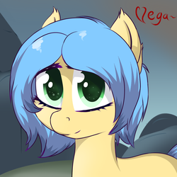 Size: 1200x1200 | Tagged: safe, artist:vulsegardt, oc, oc only, earth pony, pony, female, mare, solo