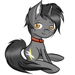 Size: 1500x1500 | Tagged: safe, artist:upsidedownpanda, oc, oc only, pony, unicorn, collar, looking at you, simple background, sitting, solo, transparent background