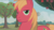 Size: 1234x694 | Tagged: safe, screencap, big macintosh, earth pony, pony, g4, honest apple, my little pony: friendship is magic, big macintosh is not amused, male, solo, stallion, unamused